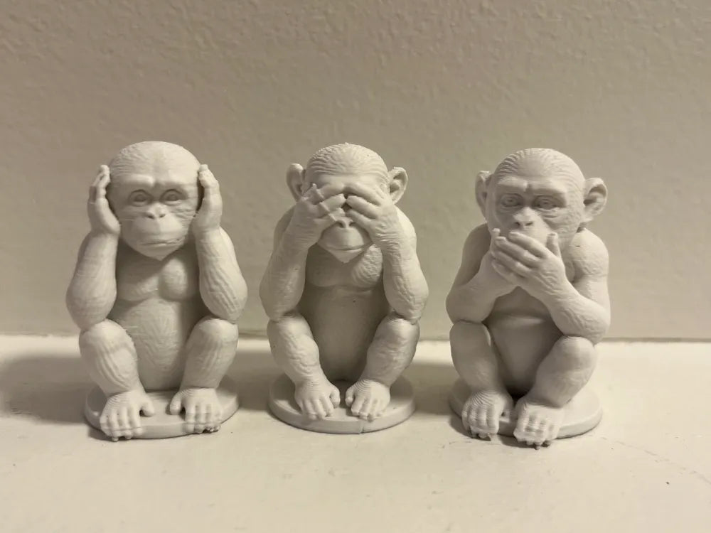 The Three Wise Monkeys