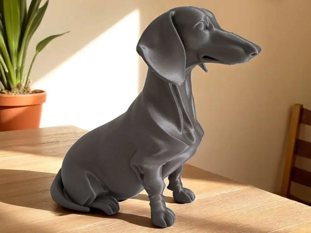 Dachshund