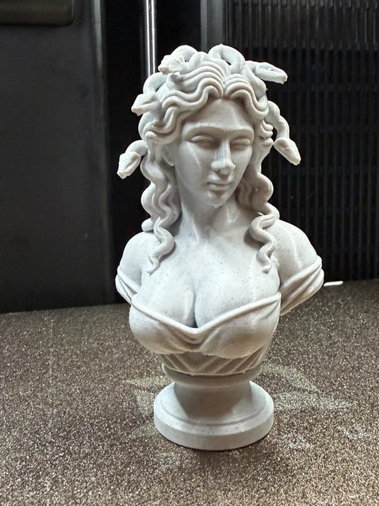 Busto Medusa