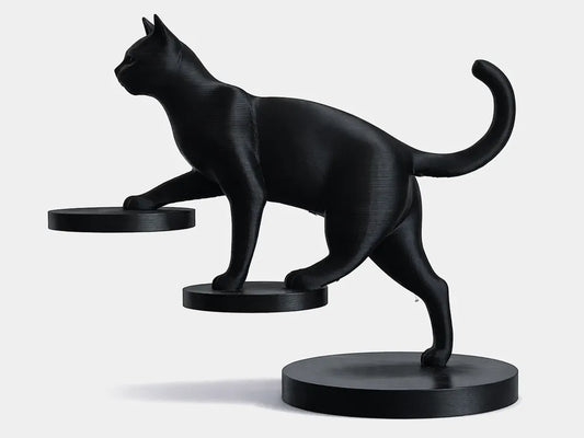 Gato en escalera